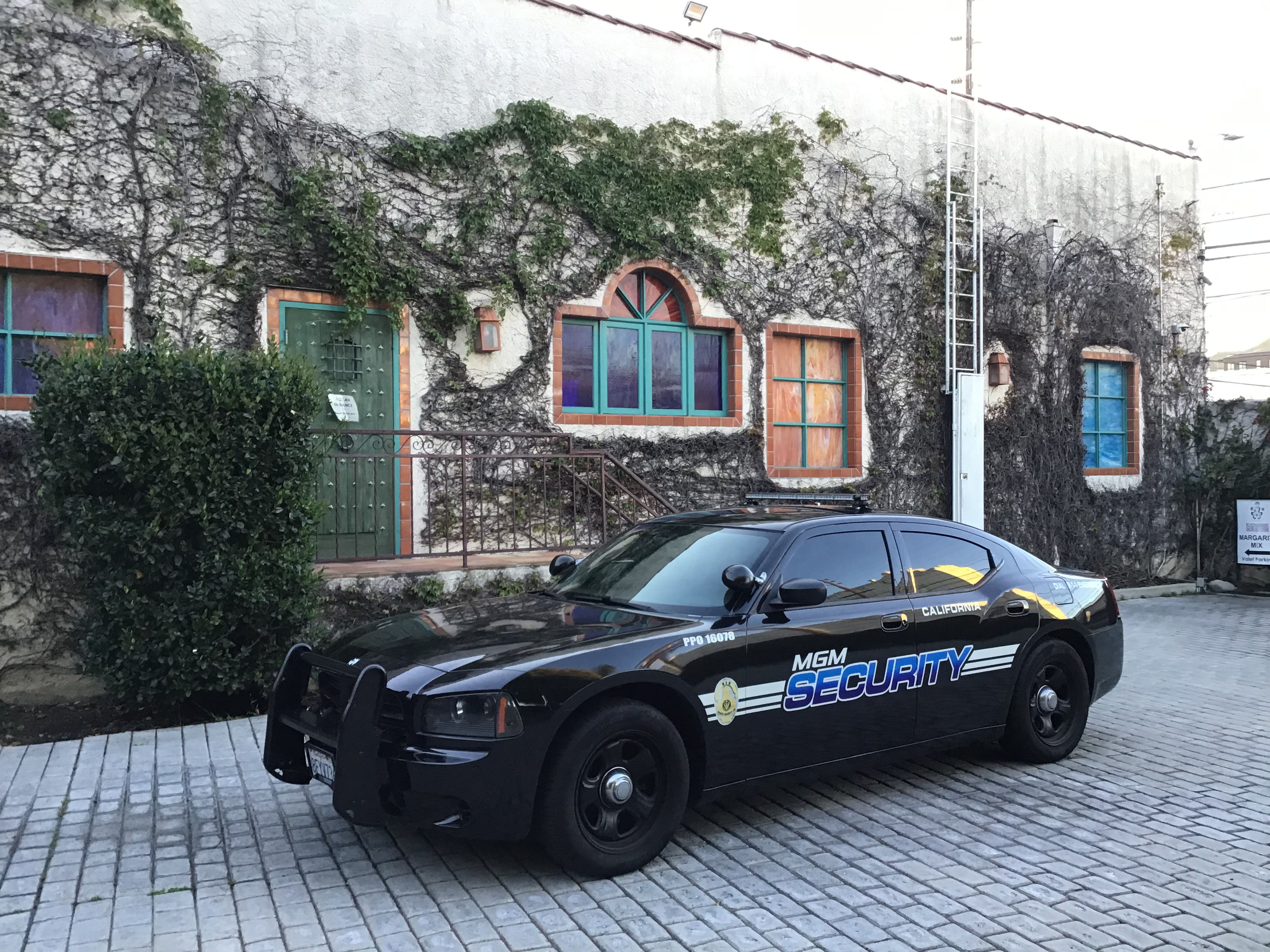 Security Monitoring